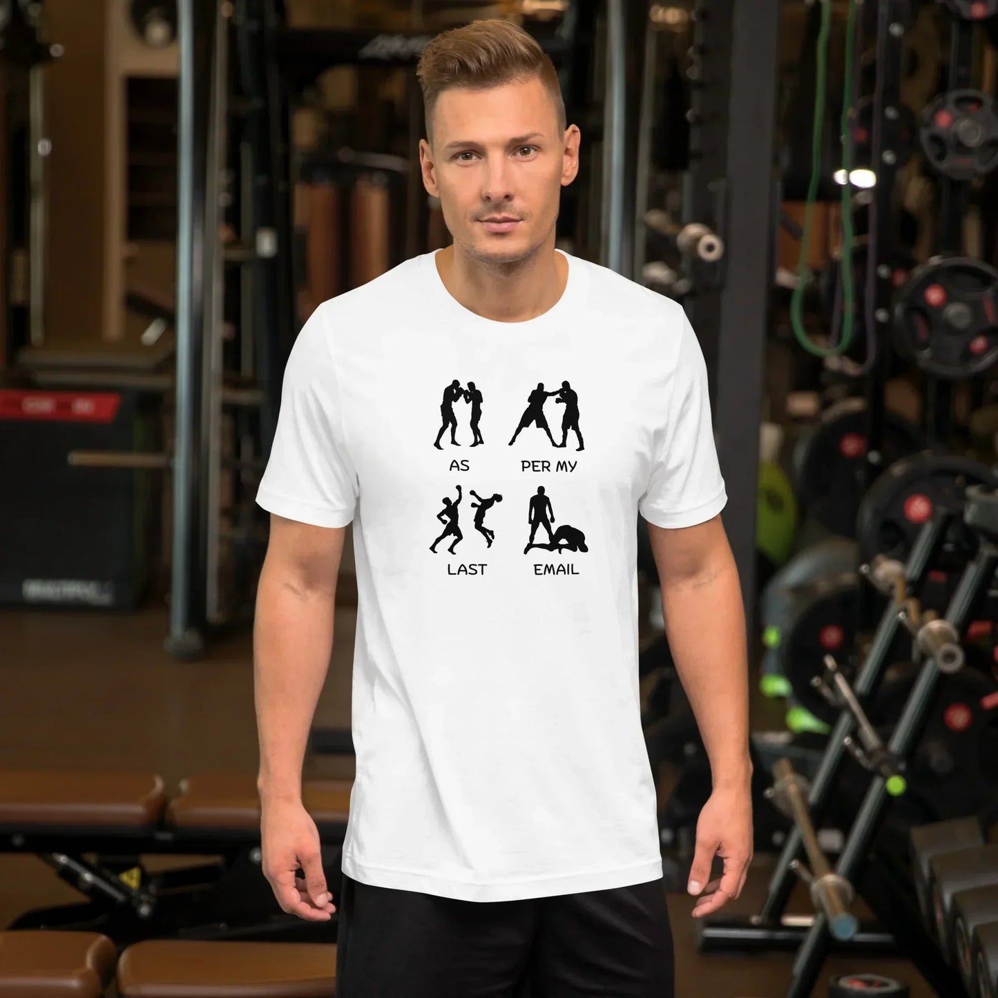 As Per My Last Email Funny T-shirt | Premium tee