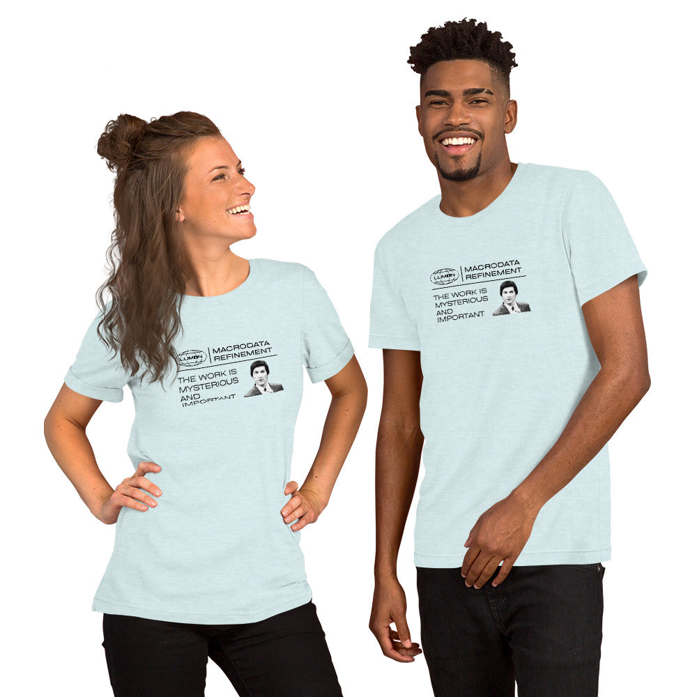 Mysterious and Important Severance T-shirt | Funny Mark S Quote | Premium tee