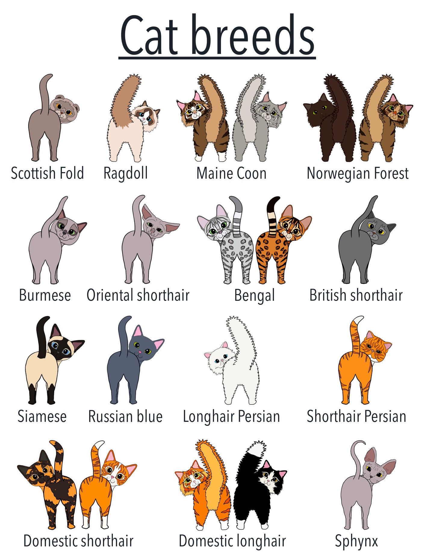 Carte d'anniversaire drôle de fesses de chat - Carte de vœux amusante pour amoureux des chats personnalisable avec race et couleur | carte d'anniversaire pour propriétaire de chat