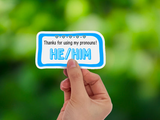 Thanks for using my pronouns sticker | he him | LGBTQ+ queer cis decals