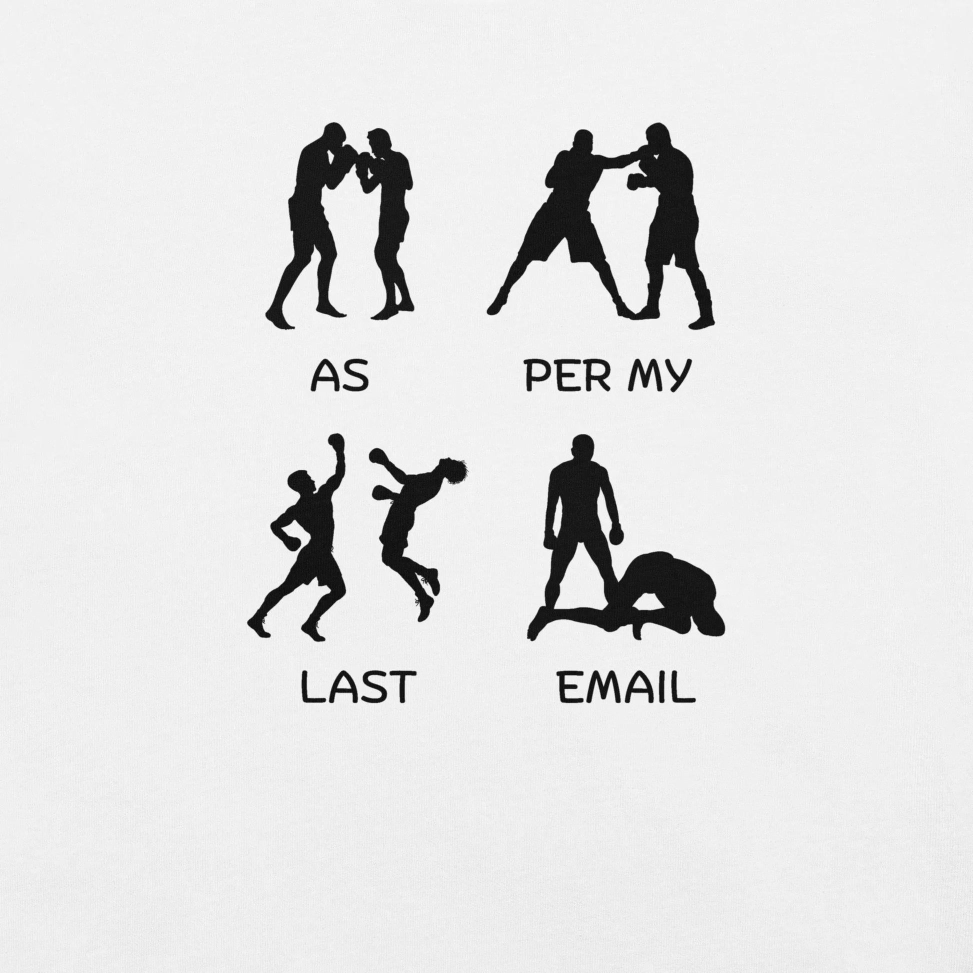 As Per My Last Email Funny T-shirt | Premium tee