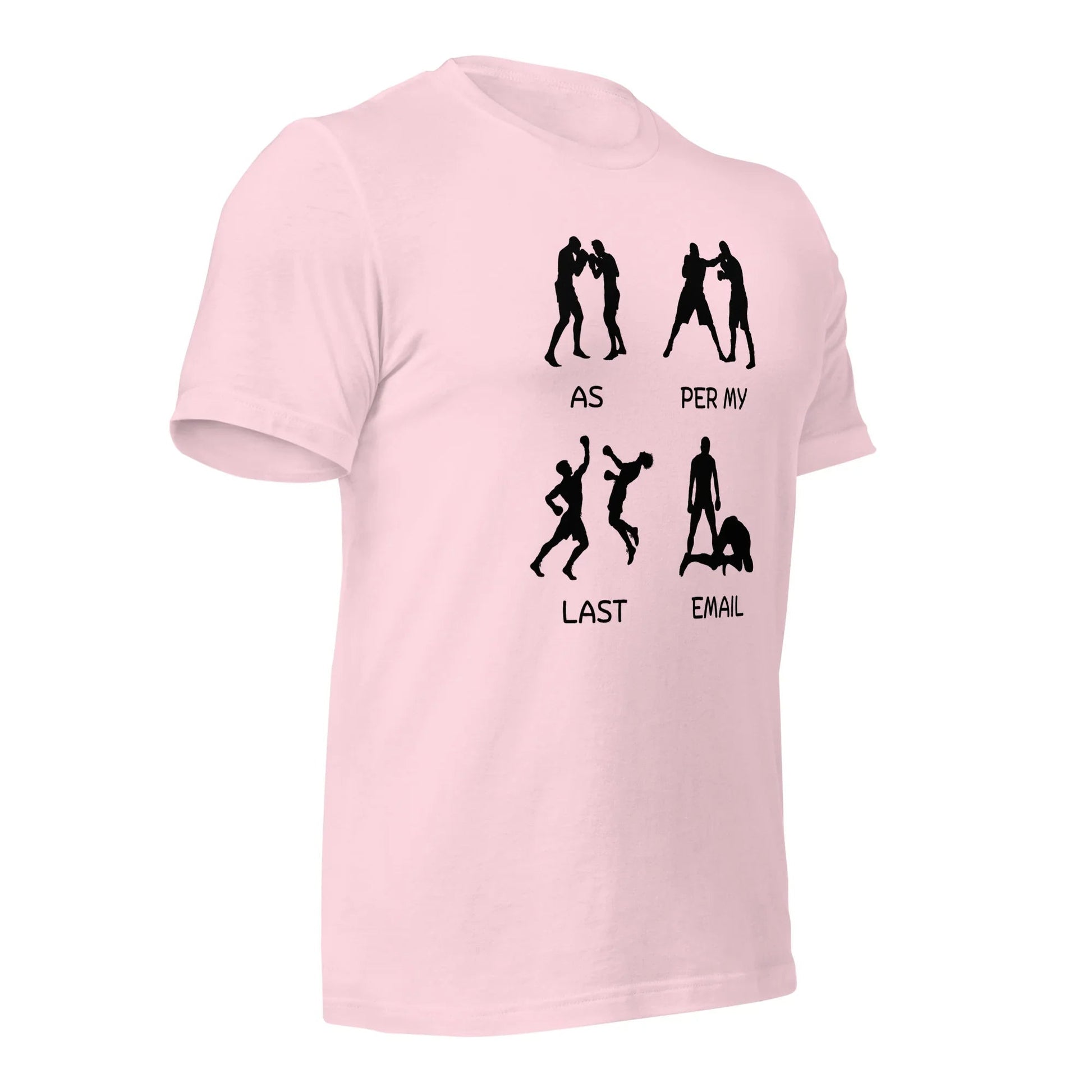 As Per My Last Email Funny T-shirt | Premium tee