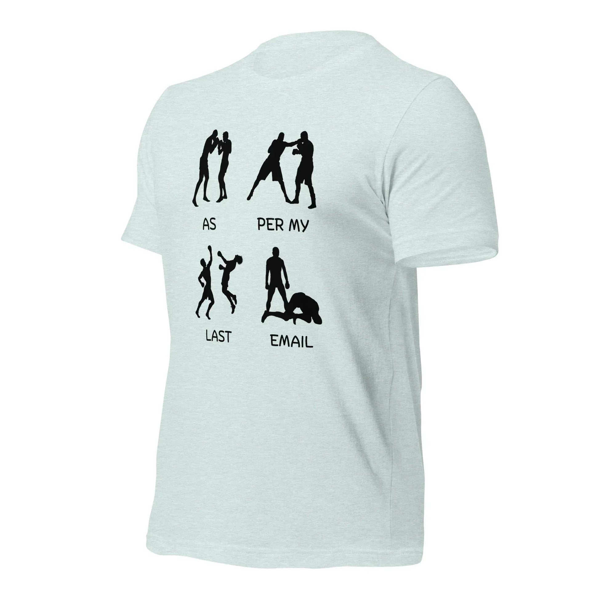 As Per My Last Email Funny T-shirt | Premium tee