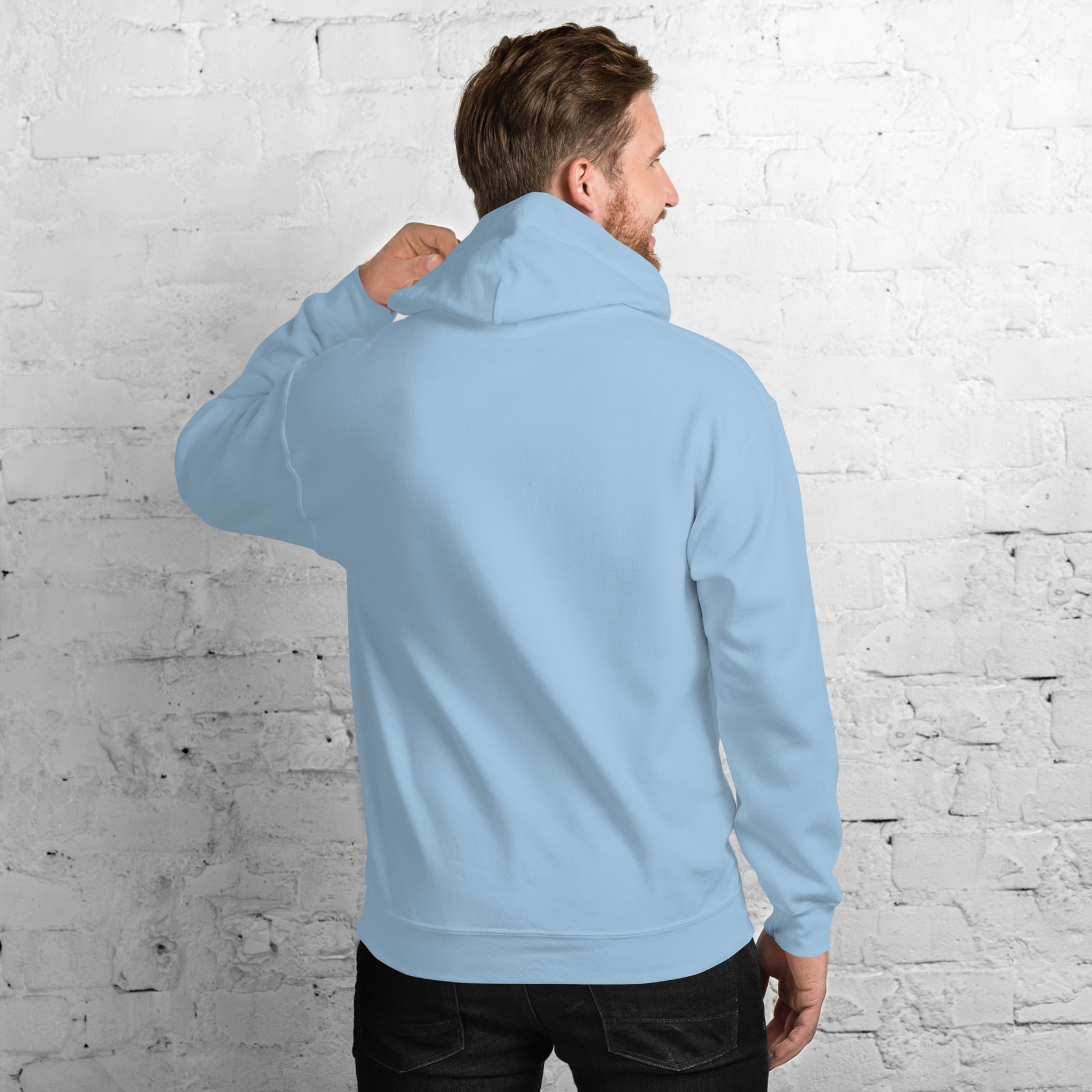 Introvert but willing to discuss cats Hoodie | Eco friendly sustainable clothing - Jessie's Art Shop